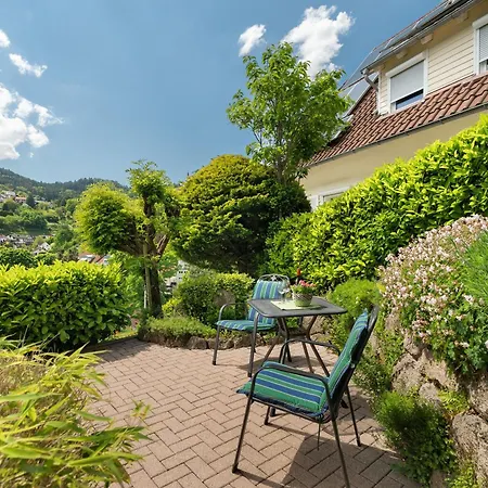 Kohler Apartamento Bühlertal